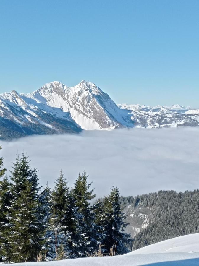 Landhaus Rosner Dorfgastein Luaran gambar
